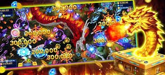 dragon8gold dragon8gold